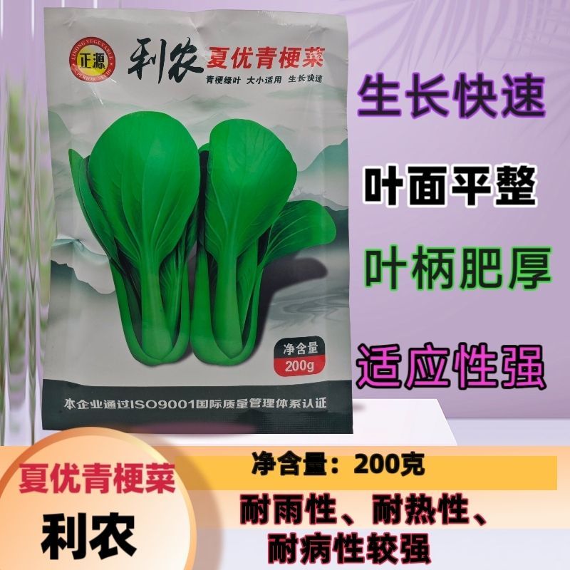 利农夏优青梗菜种子耐热耐雨水抗热青梗绿叶菜种籽春夏秋季播