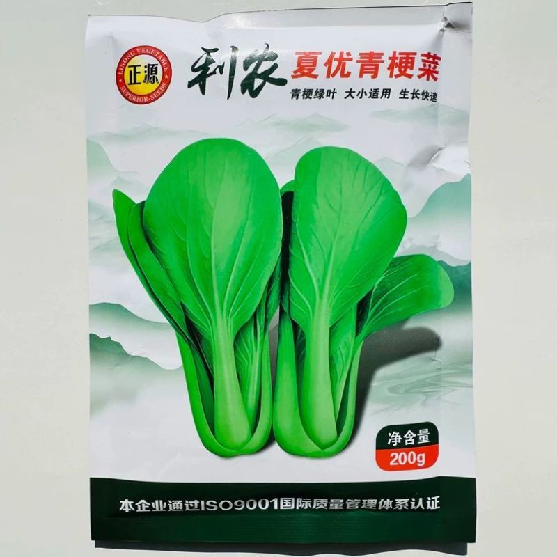利农夏优青梗菜种子耐热耐雨水抗热青梗绿叶菜种籽春夏秋季播