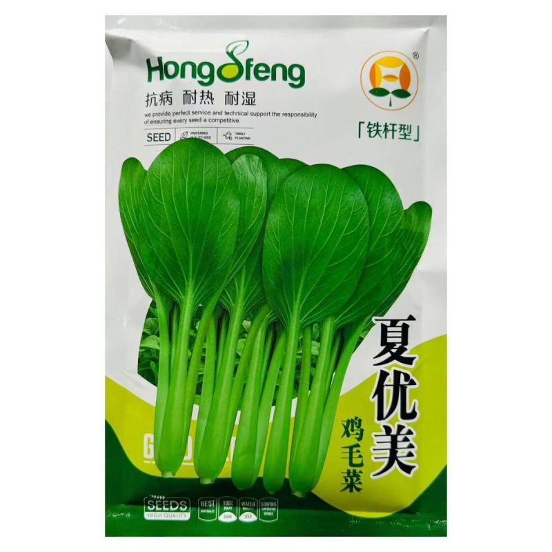 夏优美鸡毛菜种子夏季耐热铁杆抗病口感好高产四季播小青菜籽