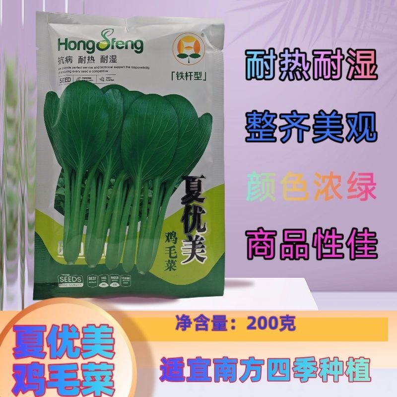夏优美鸡毛菜种子夏季耐热铁杆抗病口感好高产四季播小青菜籽