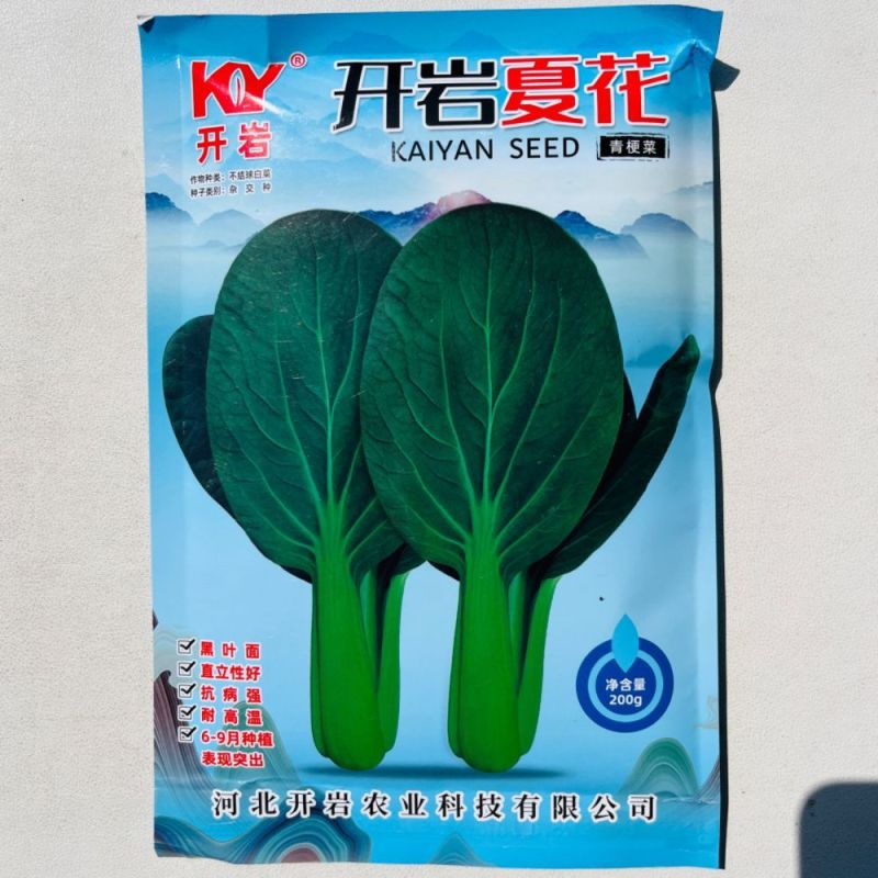 开岩夏花青梗菜种子杂交一代上海青种子大叶翠绿耐热不易拔节