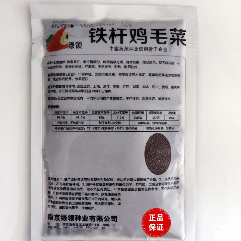 正品耐热铁杆鸡毛菜种子四季耐雨高产