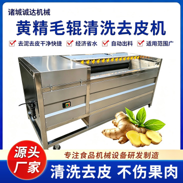 黄精加工全套设备全自动黄精清洗流水线毛辊+气泡清洗