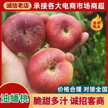 【精品油蟠桃】红油蟠桃/纽扣蟠桃/黄蟠桃各种品类齐全