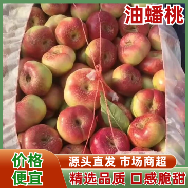 【油蟠桃】精品36-3油蟠桃产地直发保质保量可视频