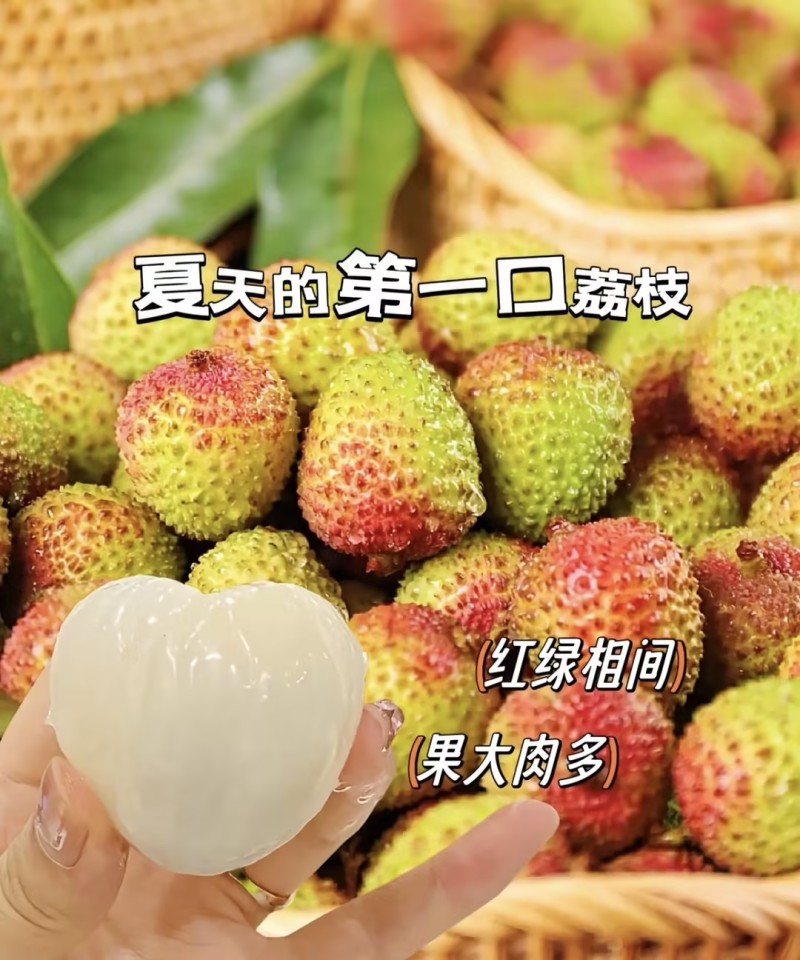 【一件可发】妃子笑荔枝产地直发价格美丽可对接全国客商