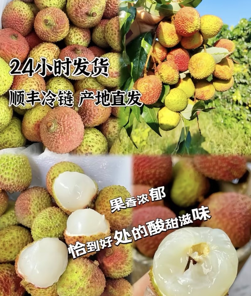 【一件可发】妃子笑荔枝产地直发价格美丽可对接全国客商
