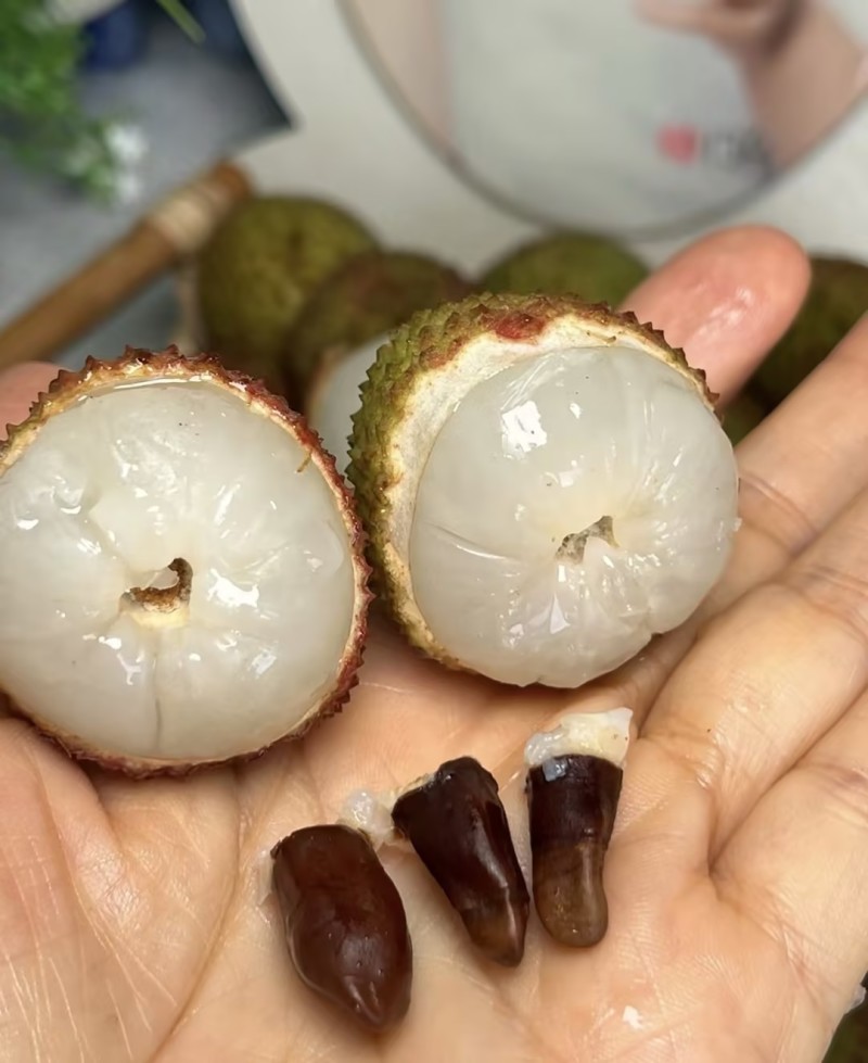 【一件可发】妃子笑荔枝产地直发价格美丽可对接全国客商