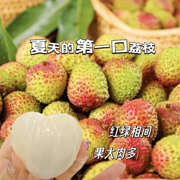 妃子笑荔枝精品荔枝量大从优可视频看货对接全国各大客商