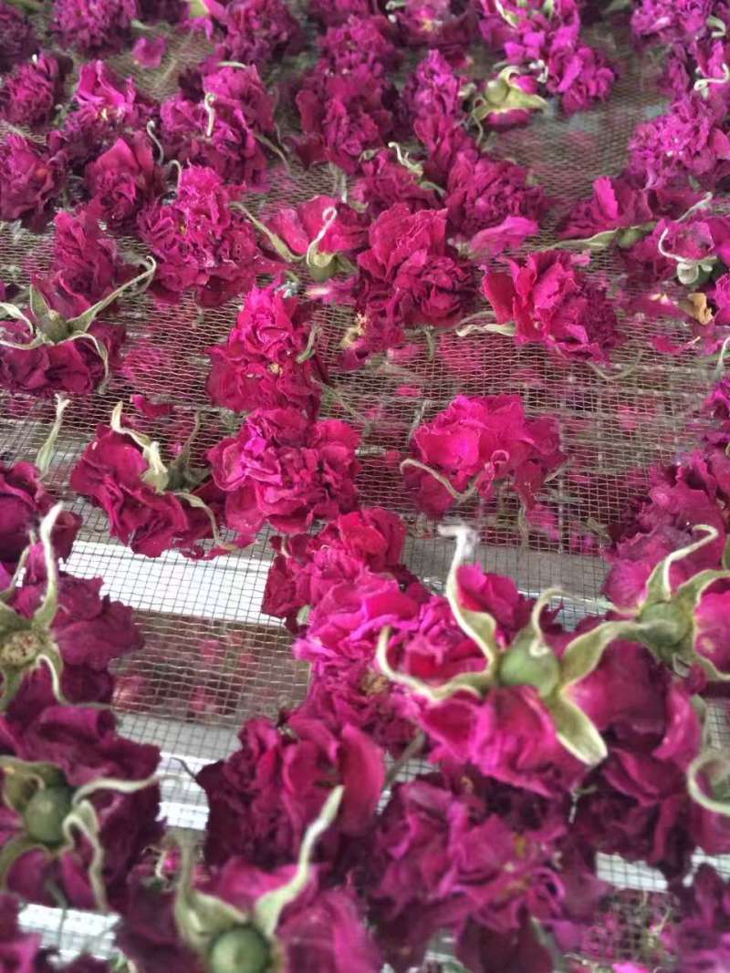 平阴重瓣红玫瑰花茶大朵干玫瑰无硫烘干散装整箱批发