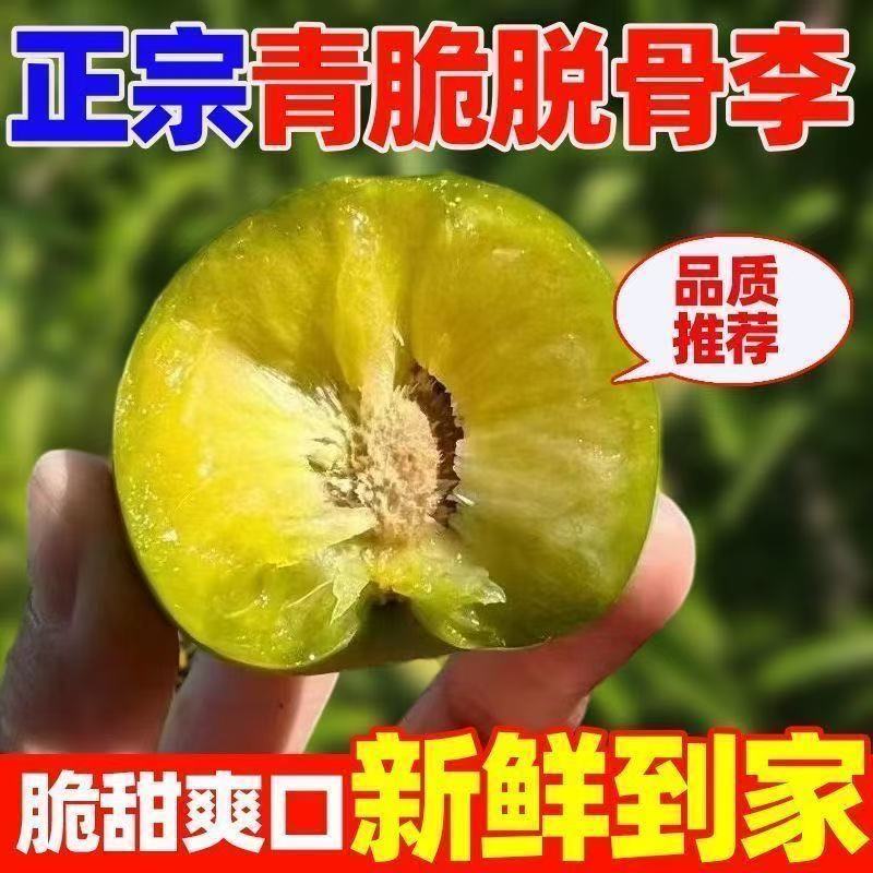 四川脱骨李，大量供应电商，一件代发一条龙服务可对接全国