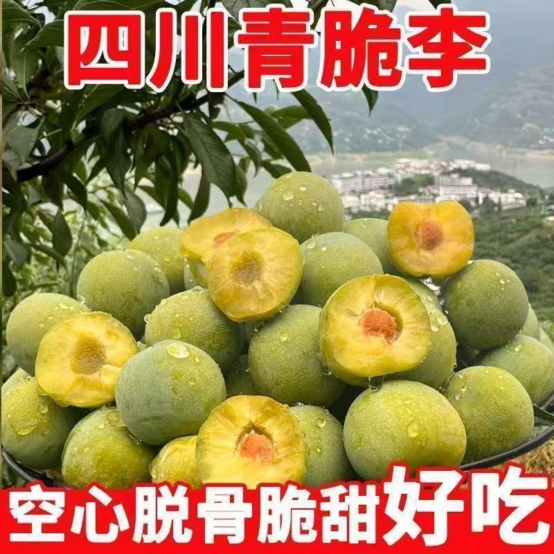 青脆李、五月脆、半边红、脱骨李冰糖李品类齐全可一件代发