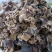 好货推荐精品毛木耳基地直发常年大量供应可视频看货