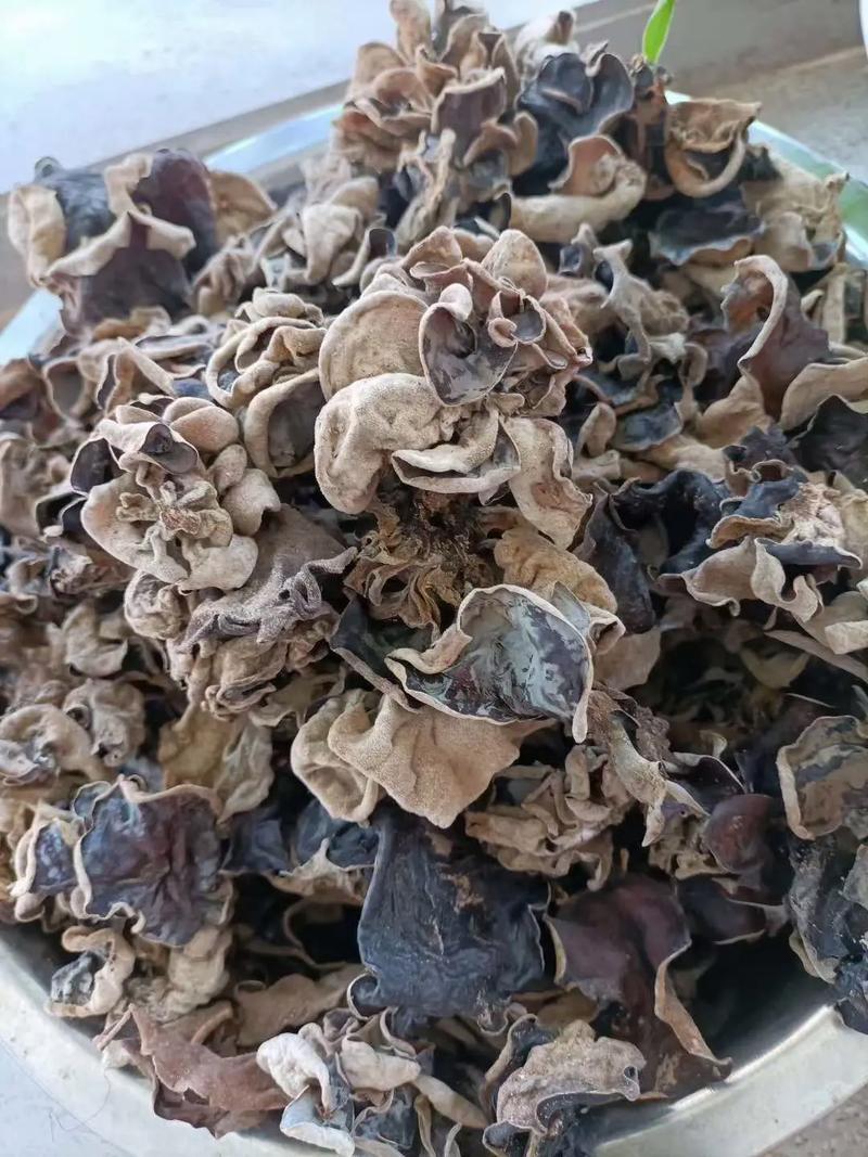 好货推荐精品毛木耳基地直发常年大量供应可视频看货