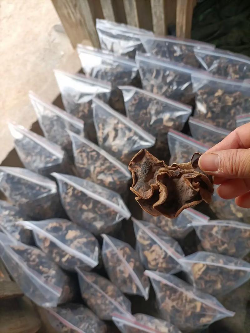 好货推荐精品毛木耳基地直发常年大量供应可视频看货