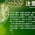 40%苯醚咪鲜胺杀菌剂西瓜炭疽病保护治疗内吸传导农用农药