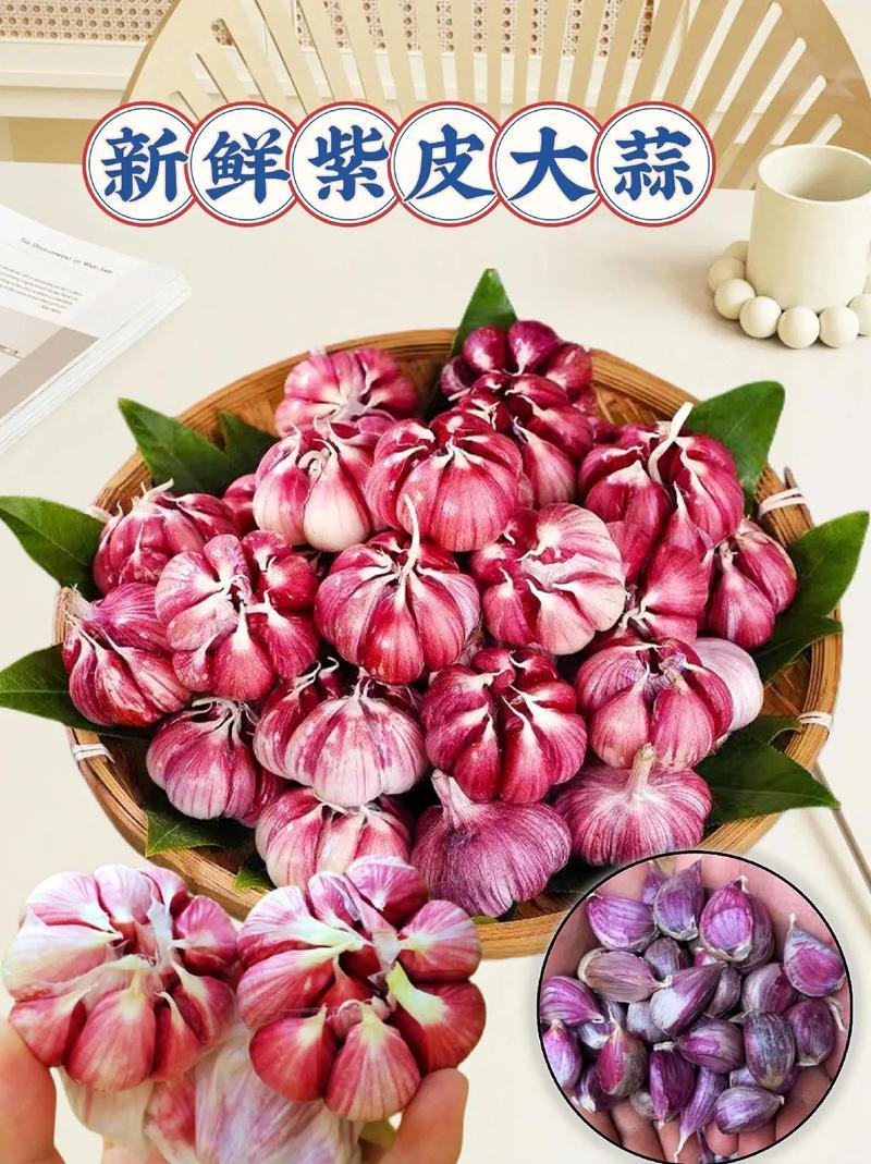 山东新蒜26紫皮大蒜全国发货对接电商市场商超