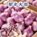 山东新蒜26紫皮大蒜全国发货对接电商市场商超