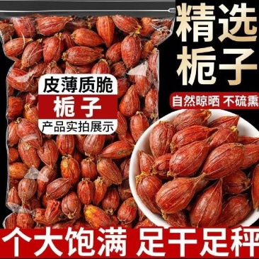 栀子红栀子山栀