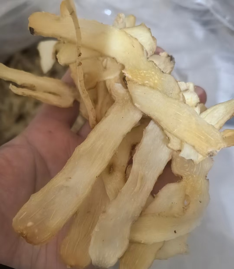 玉竹