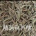 荆芥