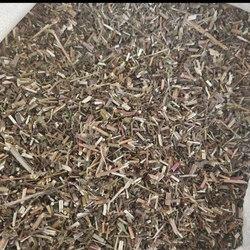 荆芥