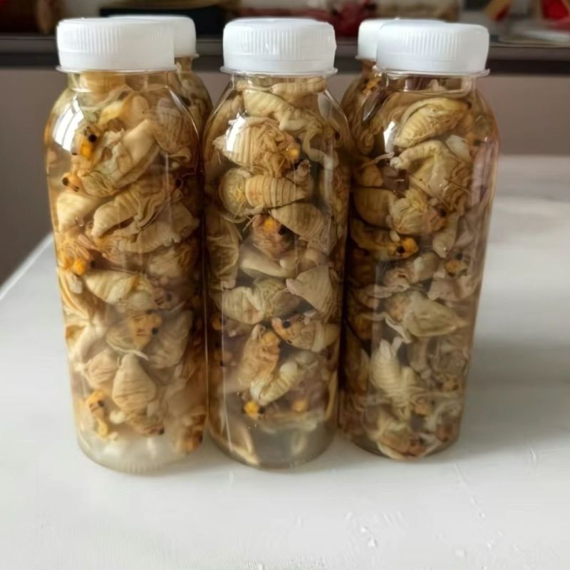 蝉蛹支持一件代发