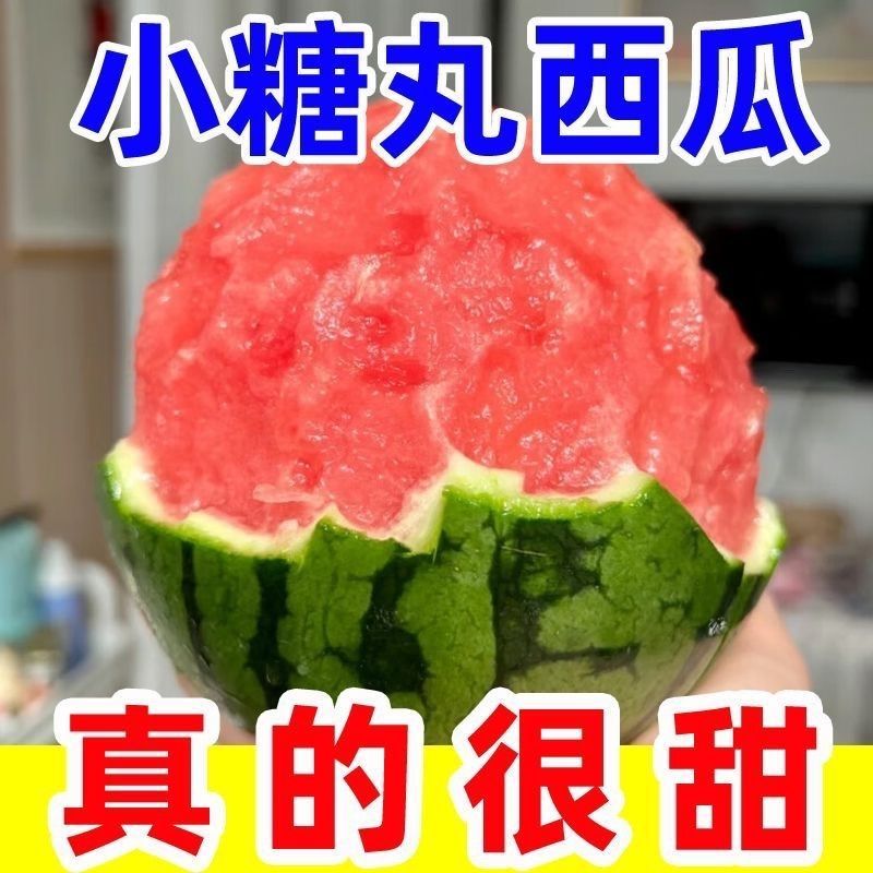 小糖丸西瓜一件代发