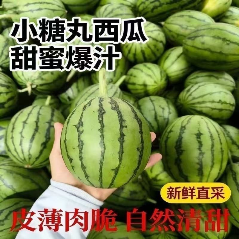 小糖丸西瓜一件代发