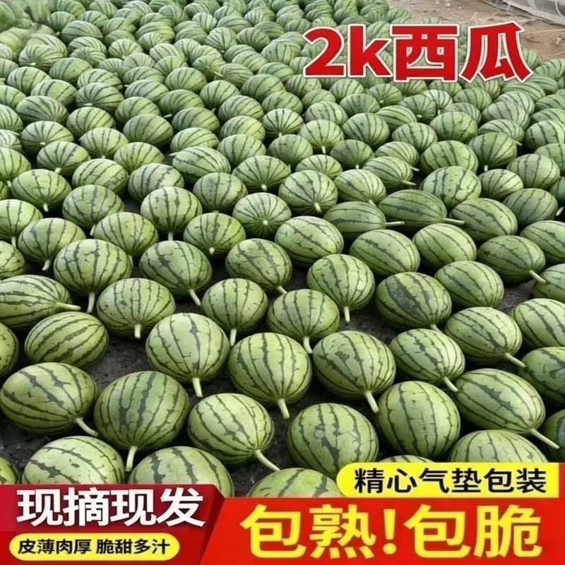 小糖丸西瓜一件代发