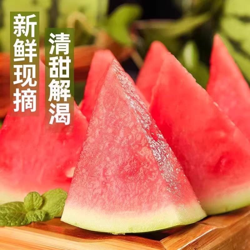 小糖丸西瓜一件代发