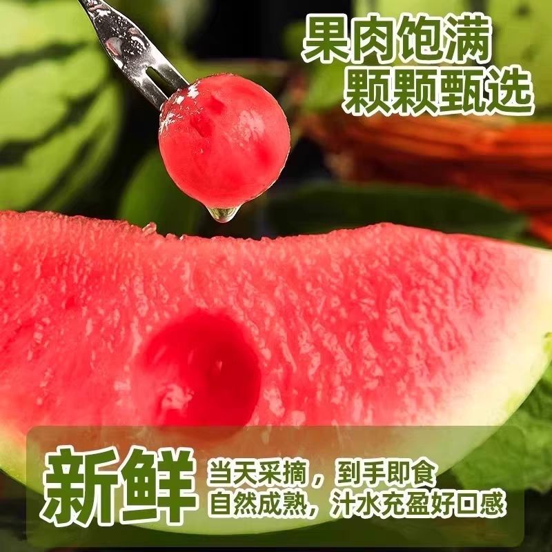 小糖丸西瓜一件代发