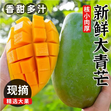 云南大青芒