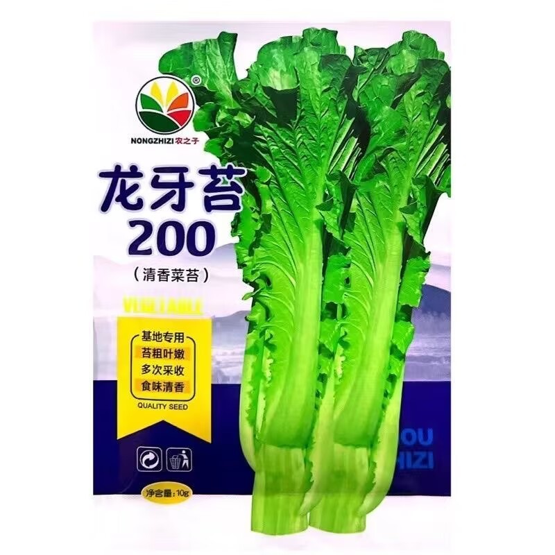 龙芽苔200白菜苔种子杂交清香油菜苔杆粗条耐寒白菜苔种籽