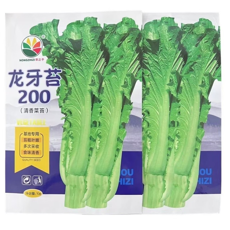 龙芽苔200白菜苔种子杂交清香油菜苔杆粗条耐寒白菜苔种籽