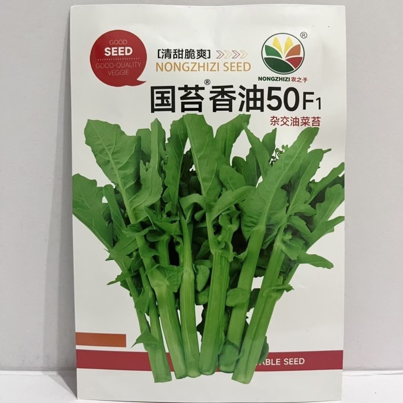 国苔香油50油菜苔种子耐热耐寒青梗杂交油菜心菜苔种籽