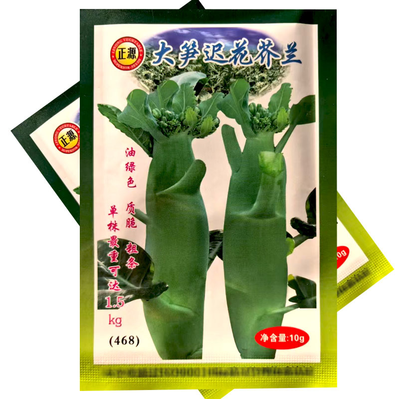 芥兰种子大笋迟花芥兰中晚熟耐寒白花大田基地型