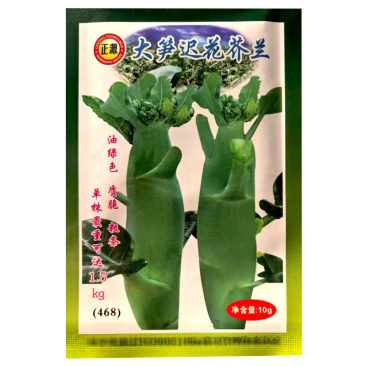 芥兰种子大笋迟花芥兰中晚熟耐寒白花大田基地型