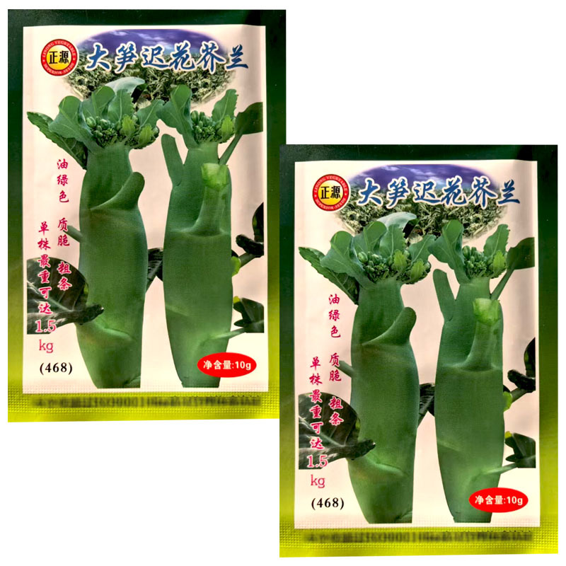 芥兰种子大笋迟花芥兰中晚熟耐寒白花大田基地型