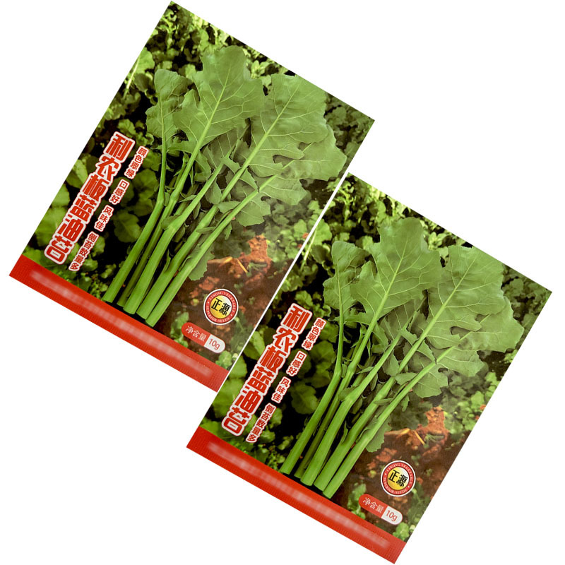 板蓝根菜苔种子板蓝根青菜种籽板蓝油菜苔四季可播多茬采收高