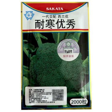 耐寒优秀西兰花种子青花菜种子一代交配原装2000粒耐寒