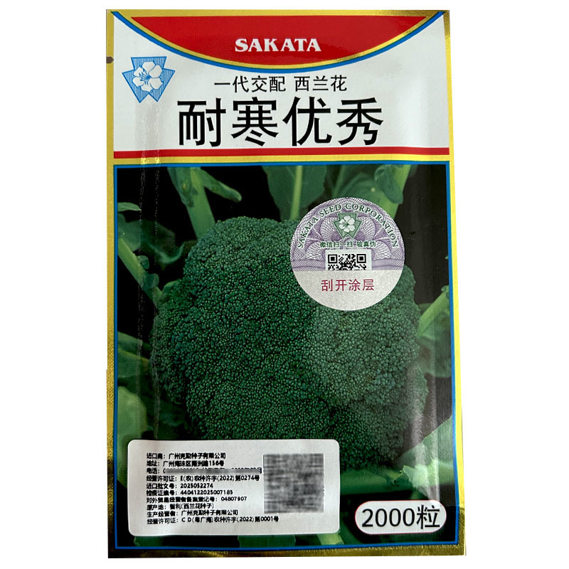 耐寒优秀西兰花种子青花菜种子一代交配原装2000粒耐寒