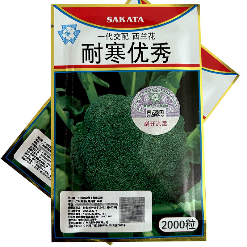 耐寒优秀西兰花种子青花菜种子一代交配原装2000粒耐寒