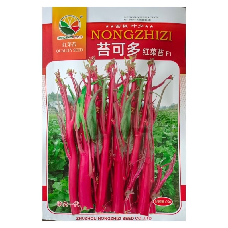 苔可多红菜苔种子优质红菜心种籽叶少苔粗杂交小叶红菜苔种籽
