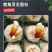 鹿角灵芝菌包直销正宗活体菌种种植包新手好养