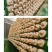 鹿角灵芝菌包直销正宗活体菌种种植包新手好养