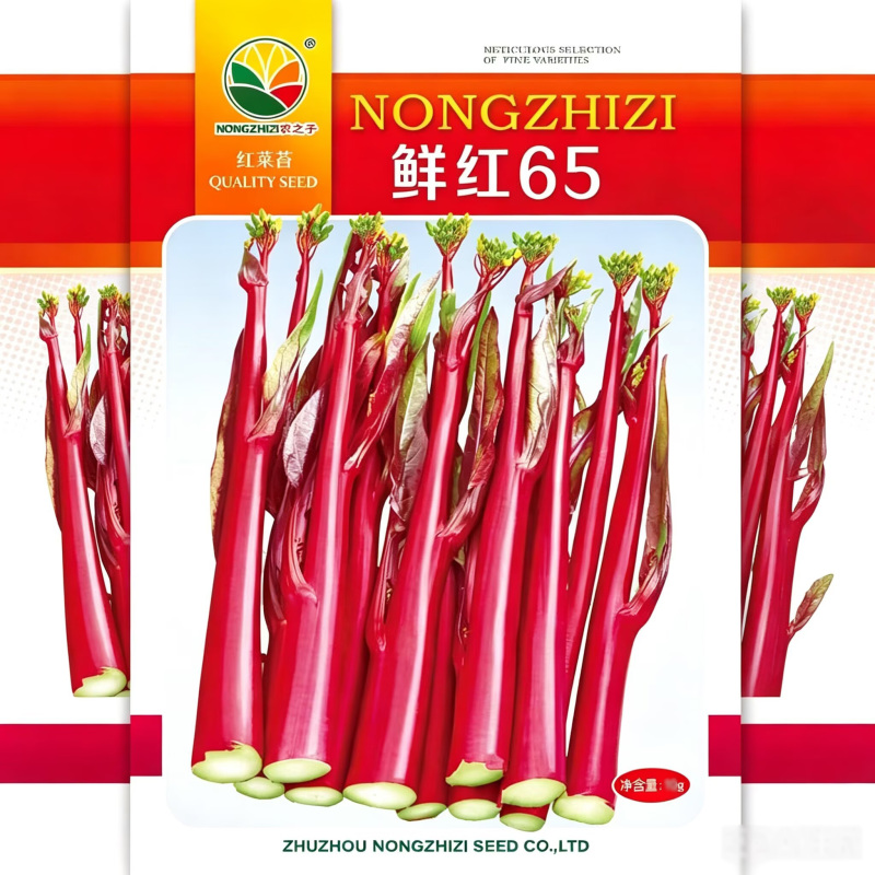 鲜红65天红菜苔种子秋冬早熟红菜心杂交蔬菜种籽大田基地种