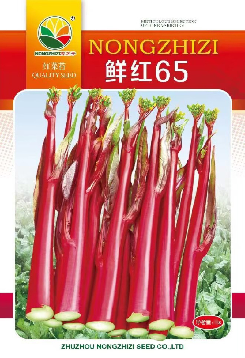 鲜红65天红菜苔种子秋冬早熟红菜心杂交蔬菜种籽大田基地种