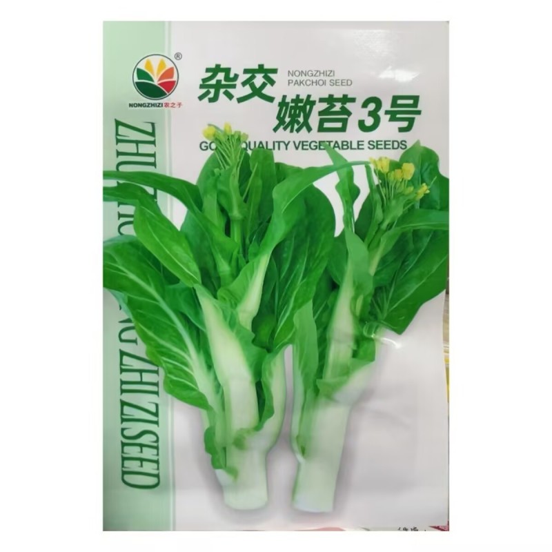 杂交嫩苔3号白菜苔种子早熟嫩白菜心种籽侧苔多大田蔬菜种子
