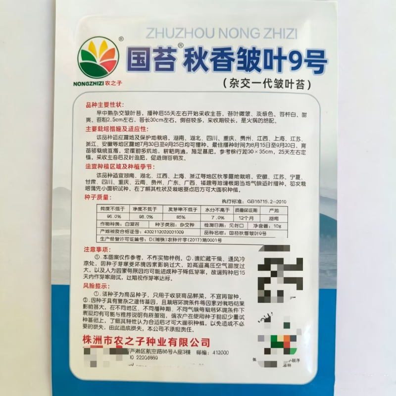 国苔秋香皱叶9号皱叶白菜苔种子杂交55天菜心种子采收期长